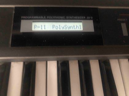 Roland-Alpha Juno 2 and M16-C